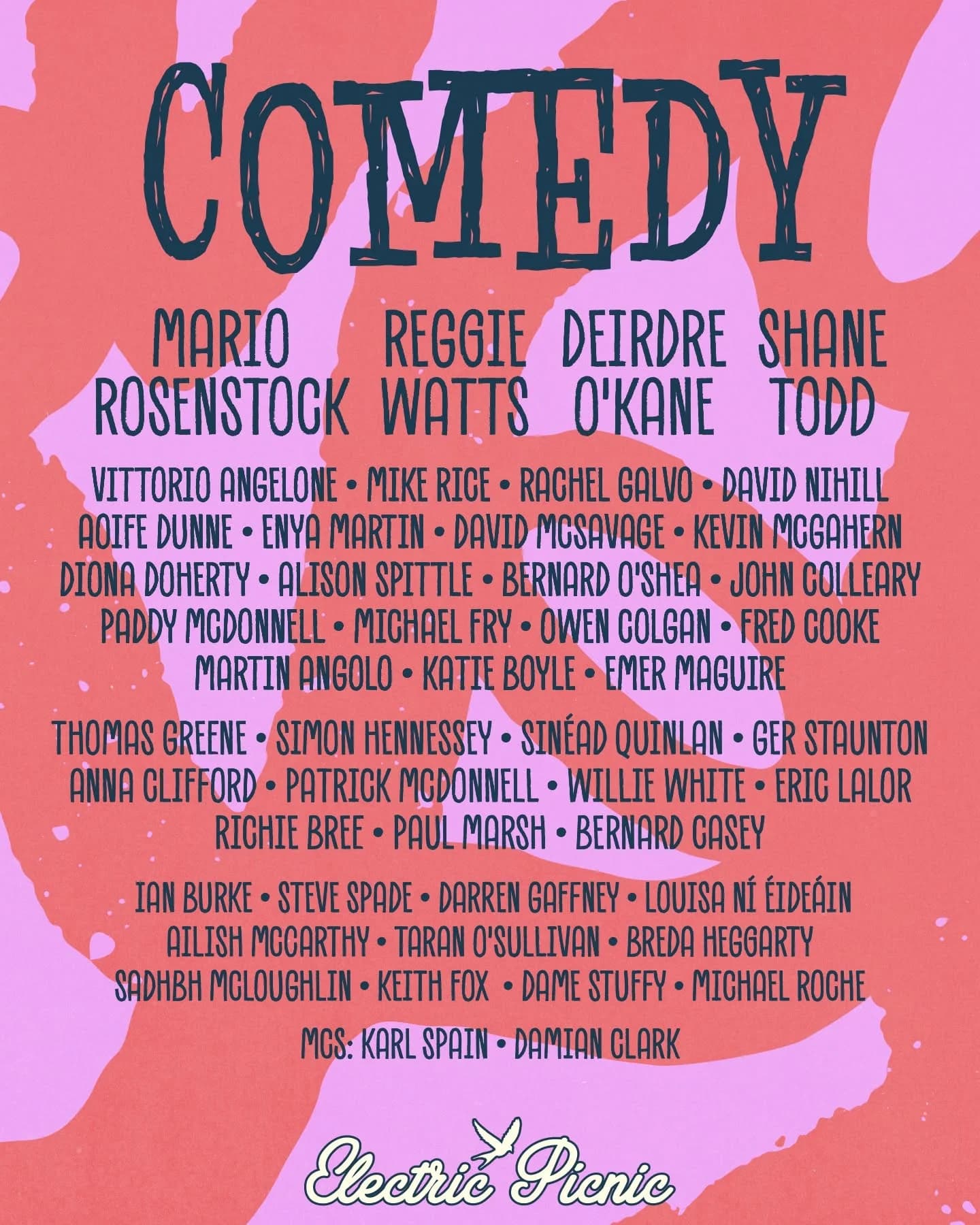 Steve Spade Master Magician - Electric Picnic lineup